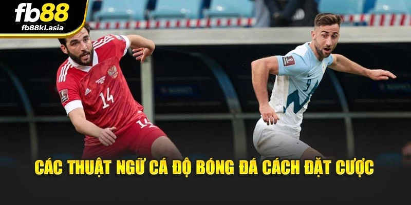 Các thuật ngữ cá độ bóng đá cách đặt cược