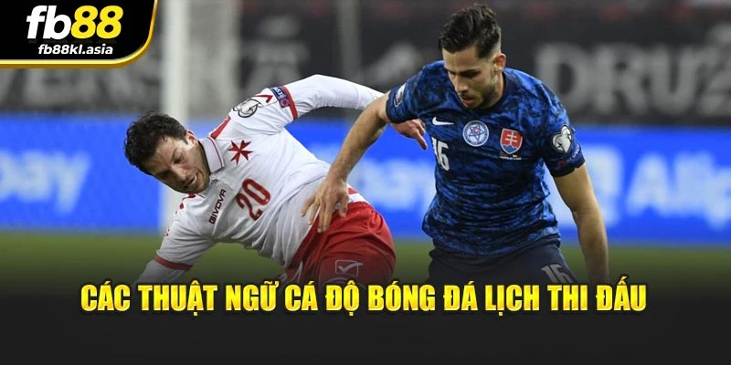 Giải đáp các thuật ngữ cá độ bóng đá lịch thi đấu