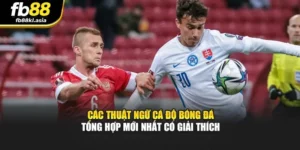 Các Thuật Ngữ Cá Độ Bóng Đá - Tổng Hợp Mới Nhất Có Giải Thích