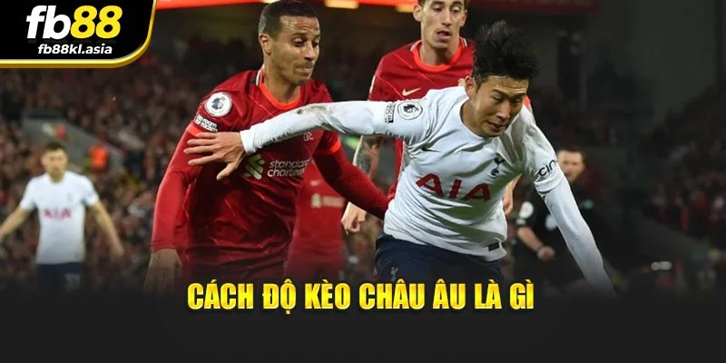 Cách độ kèo Châu Âu là gì
