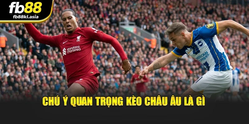 Chú ý quan trọng kèo Châu Âu là gì