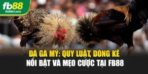 Đá Gà Mỹ: Quy Luật, Dòng Kê Nổi Bật Và Mẹo Cược Tại FB88