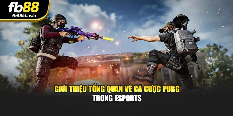 Giới thiệu tổng quan về cá cược PUBG trong eSports