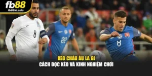 Kèo Châu Âu Là Gì - Cách Đọc Kèo Và Kinh Nghiệm Chơi