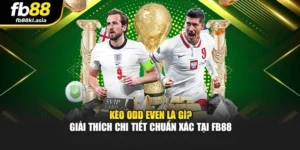 Kèo Odd Even Là Gì? Giải Thích Chi Tiết Chuẩn Xác Tại FB88