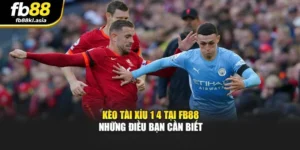Kèo Tài Xỉu 1 4 Tại Fb88 – Những Điều Bạn Cần Biết
