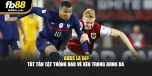 Odds Là Gì? Tất Tần Tật Thông Báo Về Kèo Trong Bóng Đá