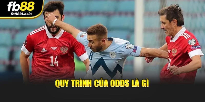 Quy trình của Odds là gì