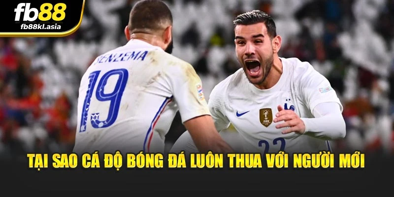 Tại sao cá độ bóng đá luôn thua với người mới